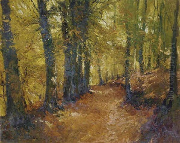 A Forest Walk Oil Painting by Alfred Bastien