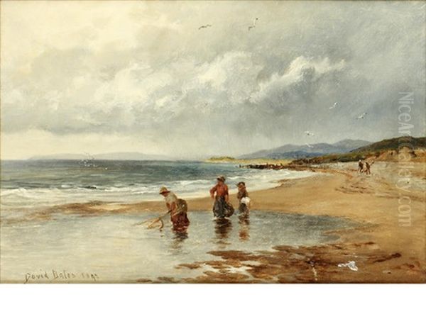 At Llanaber, Near Barmouth - With Shrimpers On The Shore Oil Painting by David Bates