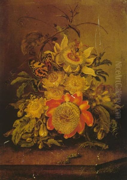 Passion Flowers Oil Painting by Ferdinand Bauer