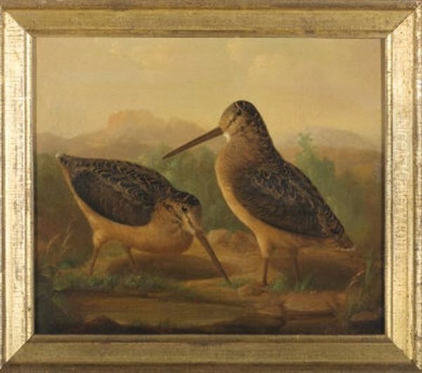 Sandpipers (+another; Pair) Oil Painting by Carl Baum