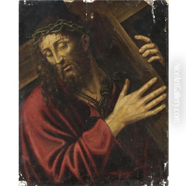 Cristo Portacroce Oil Painting by Sodoma