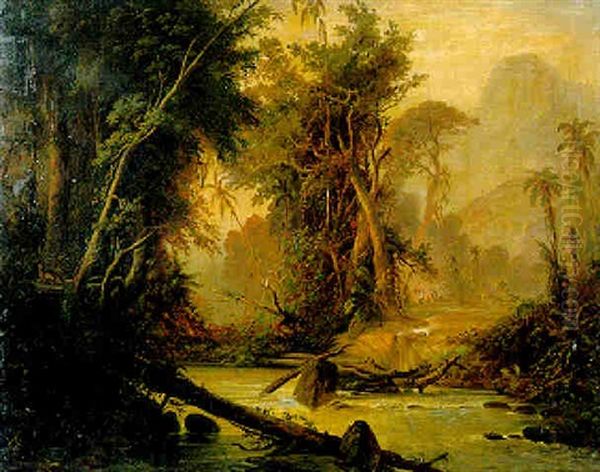 A Tropical Forest In Venezuela Oil Painting by Ferdinand Konrad Bellermann