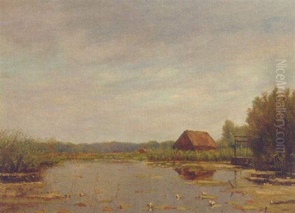Waterlilies In A Polder Pond Oil Painting by Johan Fritz Bennik