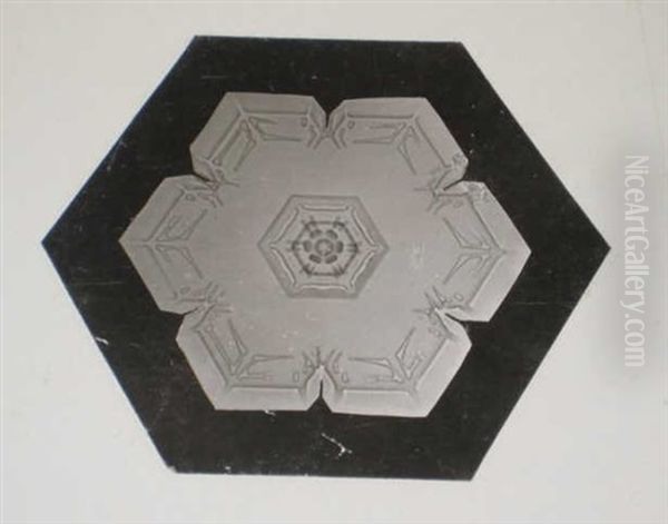 Snow Crystals (+ 2 Others; 3 Works) Oil Painting by Wilson Alwyn Bentley