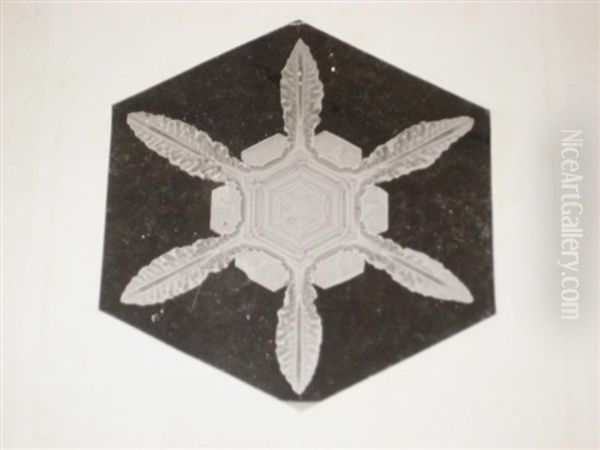 Snow Crystals (+ 2 Others; 3 Works) Oil Painting by Wilson Alwyn Bentley