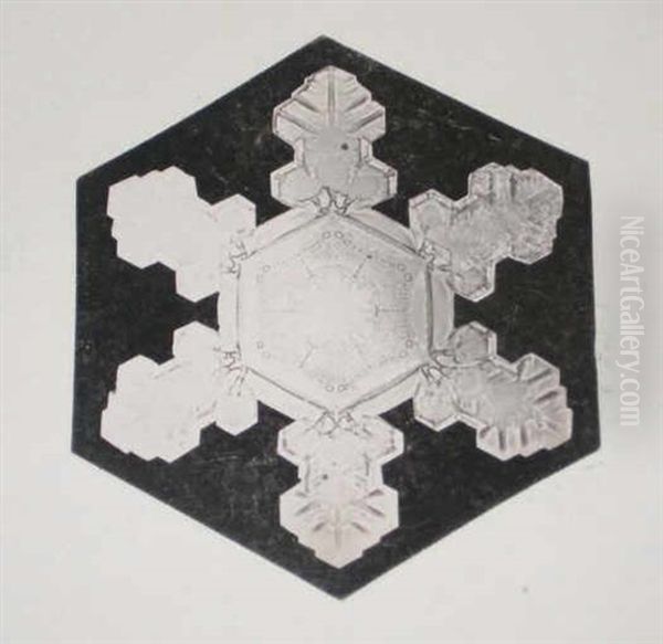 Snow Crystals (+ 2 Others; 3 Works) Oil Painting by Wilson Alwyn Bentley