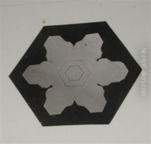 Snow Crystals (+ 2 Others; 3 Works) Oil Painting by Wilson Alwyn Bentley