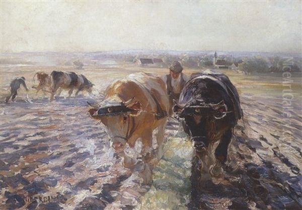 Zwei Ocsengespanne Beim Pflugen Oil Painting by Max Bergmann