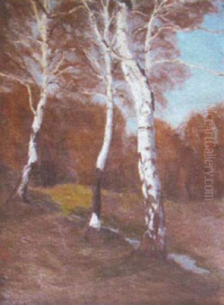 Baumlandschaft Oil Painting by Max Bergmann