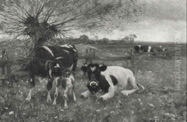 Kuhe Mit K,lbchen Auf Der Weide Oil Painting by Max Bergmann