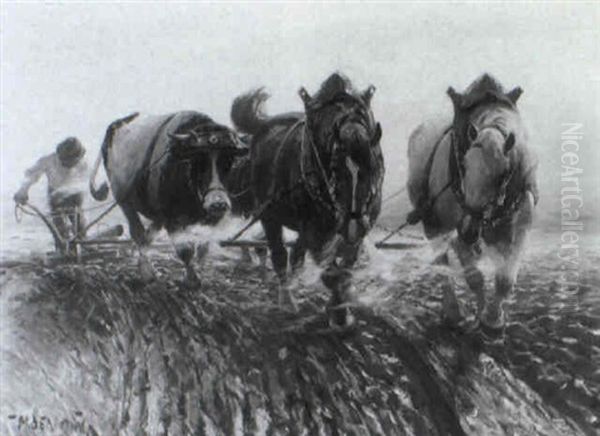 Pflugender Bauer Mit Zwei Pferden Und Einem Ochsen Oil Painting by Max Bergmann