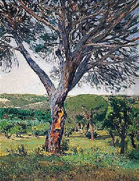 Pinos Del Plantio De Los Infantes Oil Painting by Aureliano de Beruete y Moret