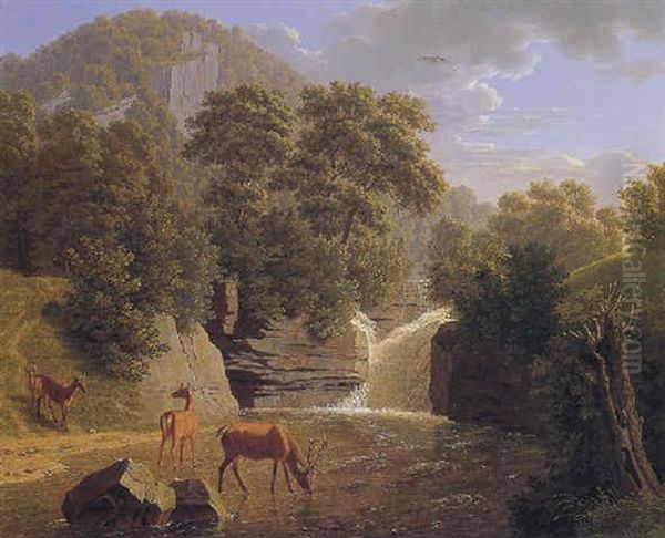 Deer Resting In A River With A Waterfall Beyond Oil Painting by Johann Jakob Biedermann