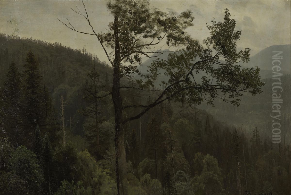 Tree Covered Mountains Oil Painting by Albert Bierstadt