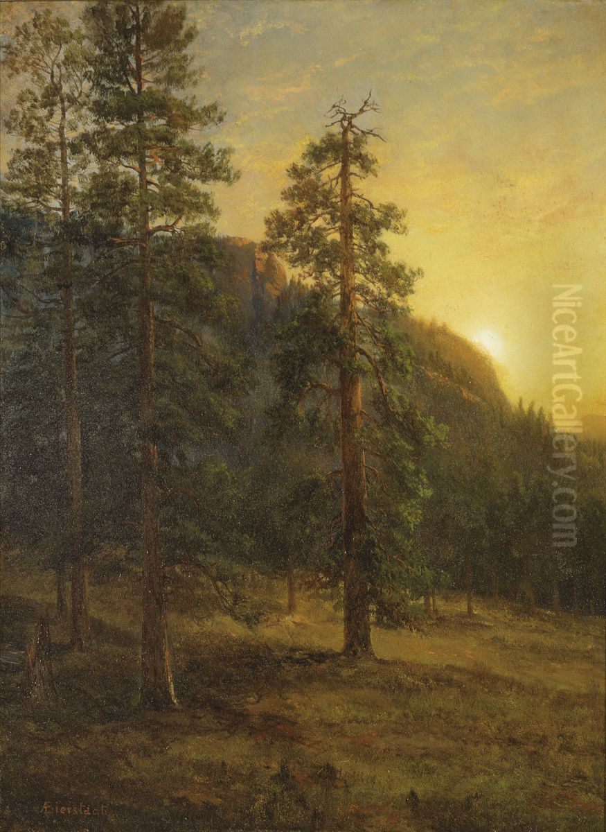 California Redwoods Oil Painting by Albert Bierstadt