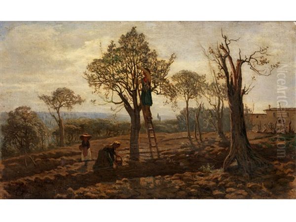 Die Olivenernte Oil Painting by Adolfo Bignami