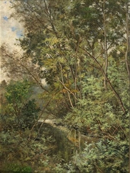 Paisaje Boscoso Oil Painting by Gonzalo Bilbao Martinez