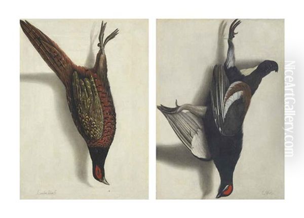 A Trompe L'oeil Of A Hanging Pheasant (+ A Trompe L'oeil Of A Hanging Black Grouse; Pair) Oil Painting by Cornelis Biltius