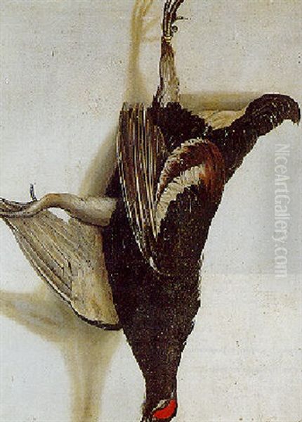 A Tromp-l'oeil Of A Blackcock Hanging From A Nail Oil Painting by Cornelis Biltius
