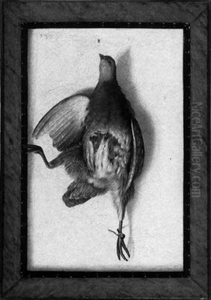 A Still Life Of A Dead Bird Oil Painting by Cornelis Biltius