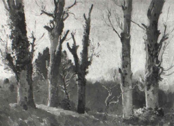 Sycamore Trees Oil Painting by Samuel John Lamorna Birch