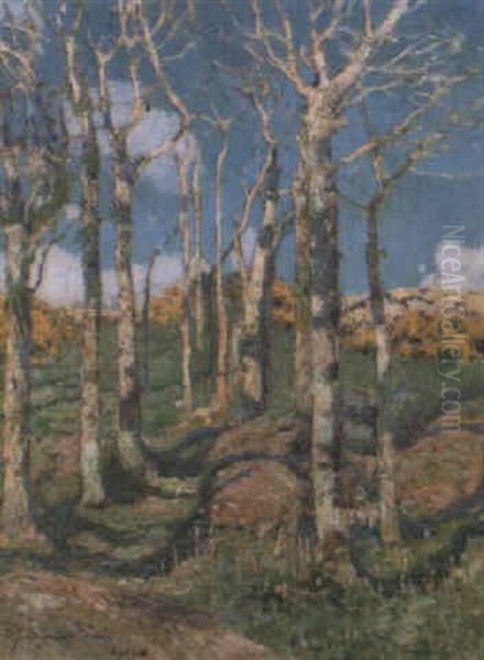 Trees In A Landscape Oil Painting by Samuel John Lamorna Birch