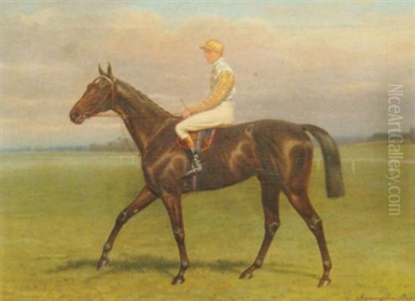 A Racehorse With A Jockey Up Oil Painting by John Alexander Harington Bird