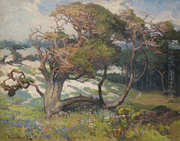 Sand Dunes And Pines, Monterey Coast, Calif. Oil Painting by Franz Arthur Bischoff