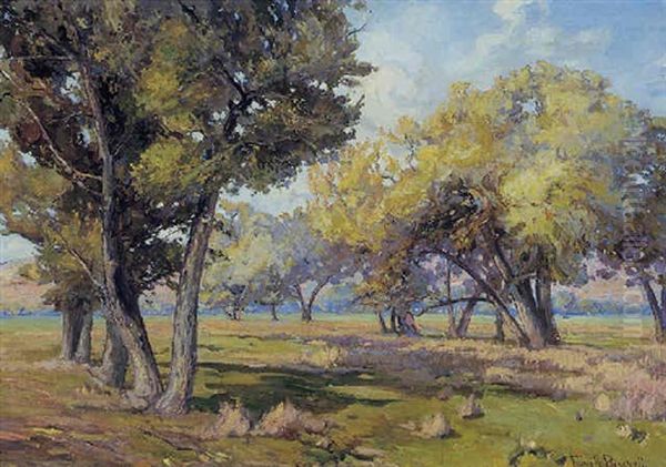 Carmel Cottonwoods Oil Painting by Franz Arthur Bischoff