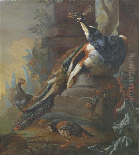 Peacocks In An Ornate Garden Oil Painting by Abraham Bisschop Dordrecht