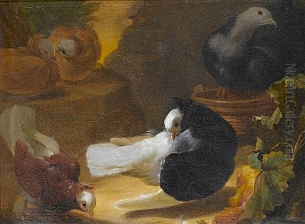 A Forest Floor With Doves Oil Painting by Abraham Bisschop Dordrecht