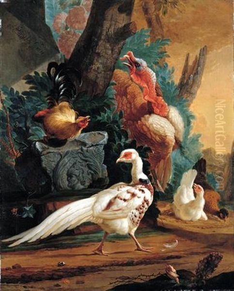 A White Pheasant, A Turkey And Farmyard Fowl In A Landscape Setting Oil Painting by Abraham Bisschop Dordrecht
