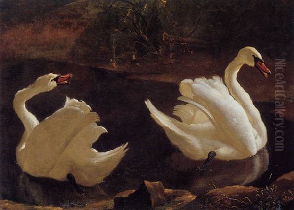 Two Swans On A Lake Oil Painting by Abraham Bisschop Dordrecht