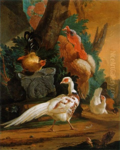 A White Pheasant A Turkey And Poultry In A Landscape Oil Painting by Abraham Bisschop Dordrecht