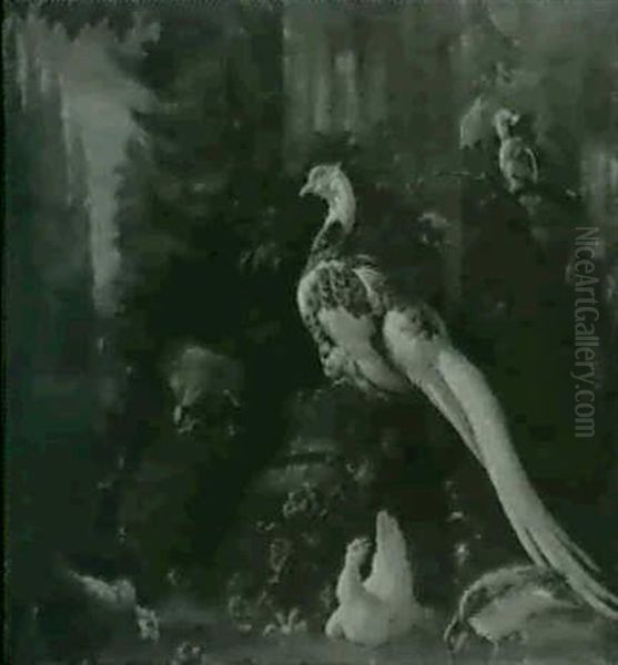 Oiseaux Exotiques Dans Un Parc Oil Painting by Abraham Bisschop Dordrecht