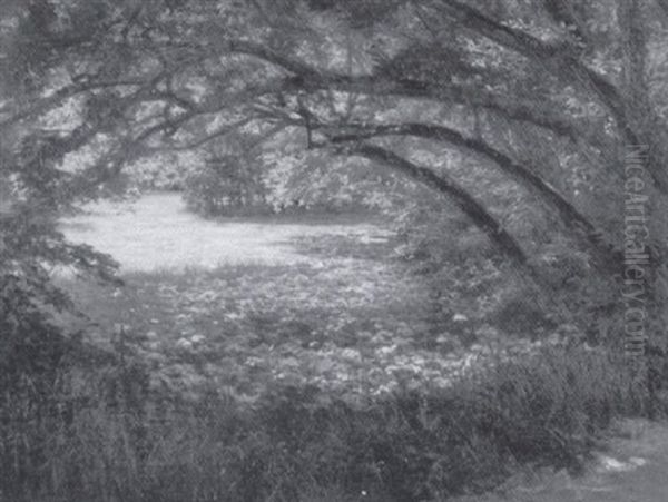 Wooded Landscape Oil Painting by Henri Biva