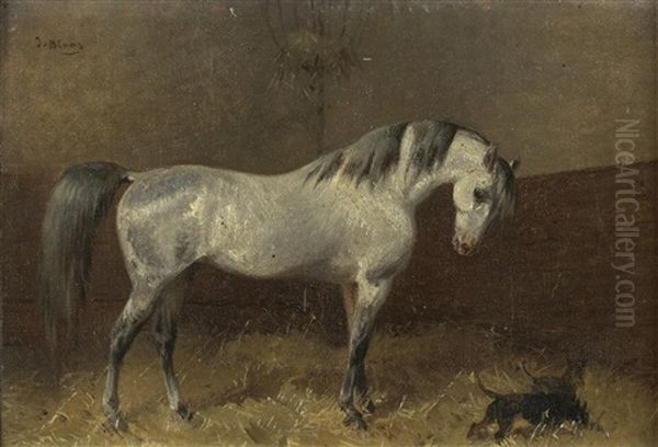 Schimmel Im Stall Oil Painting by Julius von Blaas