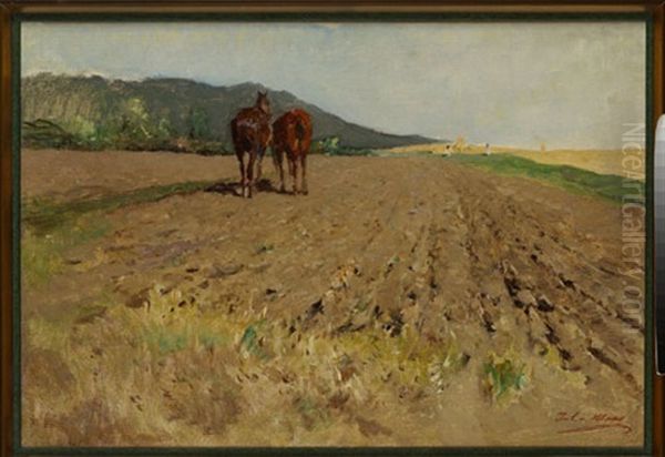 Pferde Am Feld Oil Painting by Julius von Blaas