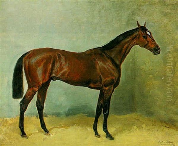 A Bay In A Loose Box Oil Painting by Julius von Blaas