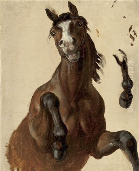 Ein Steigendes Pferd Und Eine Vorderhand (studies) Oil Painting by Karl von Blaas
