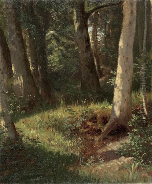 Lichtung Im Wald Oil Painting by Karl von Blaas