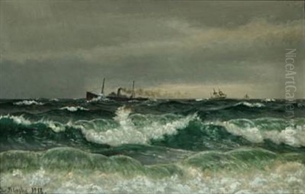 Seascape With Steamer And Sailing Ships Oil Painting by Christian Vigilius Blache