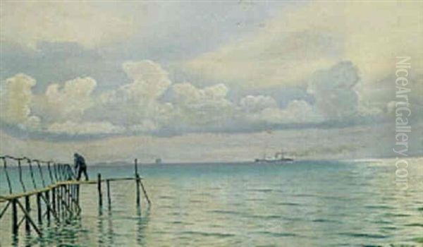 Parti Fra Oresund Med Badebro Og Dampskib Oil Painting by Christian Vigilius Blache