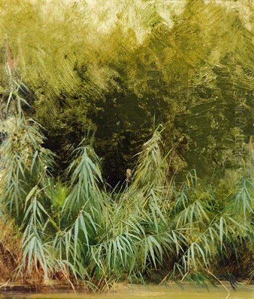 Schilf Am Teichufer Oil Painting by Tina Blau