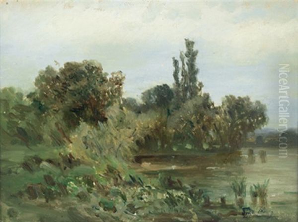 Aulandschaft Oil Painting by Tina Blau