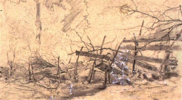 Vom Unwetter Zerstorter Jungwald Oil Painting by Tina Blau