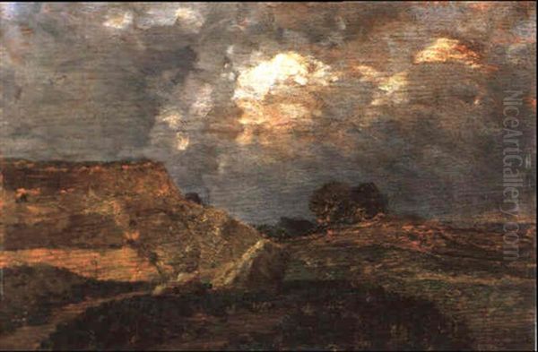 Die Turkenschanze In Wien Oil Painting by Tina Blau