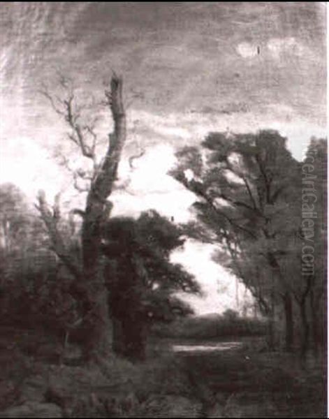 Waldlandschaft Oil Painting by Tina Blau