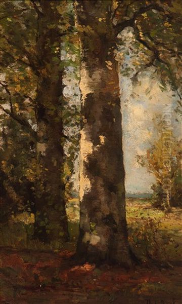 The Birch Forest Oil Painting by Theophile Emile Achille De Bock