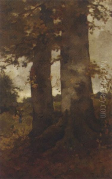 Boomen: Birch Trees By A Forest Clearing Oil Painting by Theophile Emile Achille De Bock